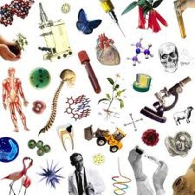 Timeline: AVANCES EN LA BIOLOGIA