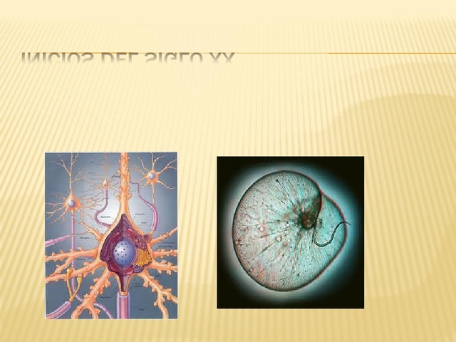 Camilo Golgi, Santiago Ramón y Cajal