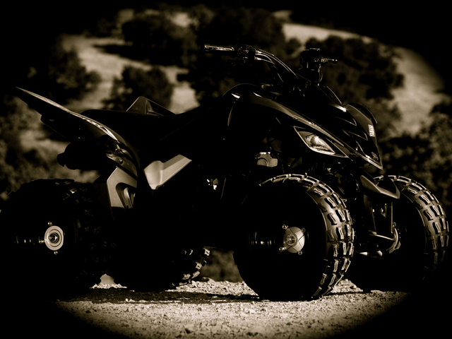 When i bought my Yamaha Raptor 90