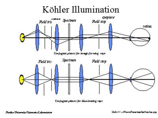 Kohler Illumination developed