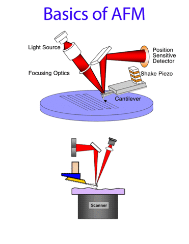 Atomic Force Microscope