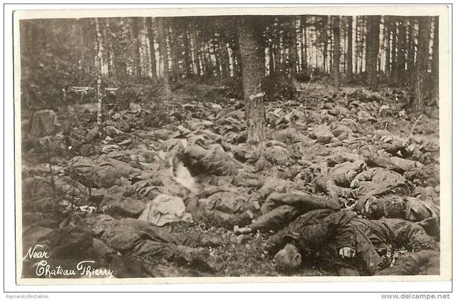 The Battle of Belleau  Wood