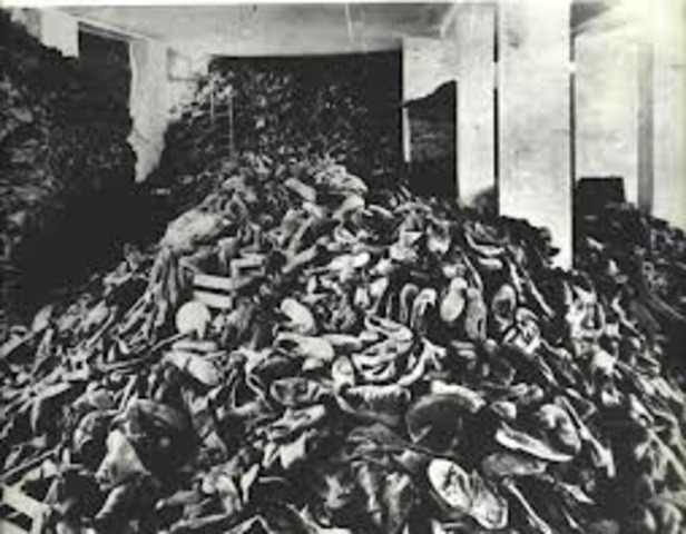 Nazi "extermination" camps located in occupied Poland at Auschwitz, Birkenau, Treblinka, Sobibor, Belzec, and Majdanek-Lublin begins mass murder of Jews in gas chambers.
