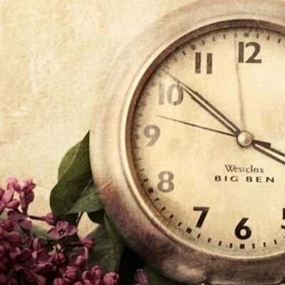 Timeline: My career path