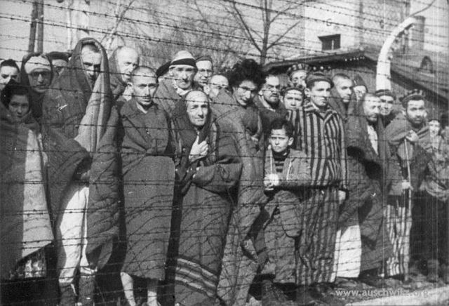 Auschwitz Liberation