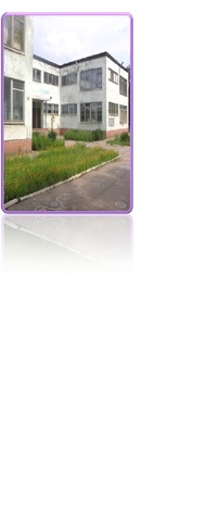 ДОУ – победитель.