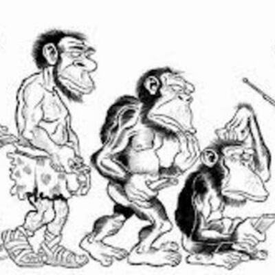 Timeline: Desarrollo del pensamiento del hombre