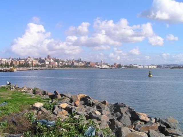 Coal Discovered In Australia