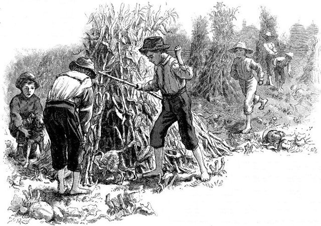 Antony Johnson acquires Land