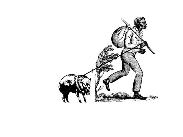 Act-VI. Hog Stealing