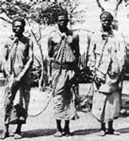 The First Slaves were introduced in America