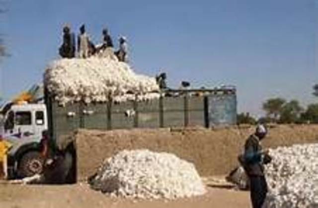 Cotton Growth starts in America at the James River