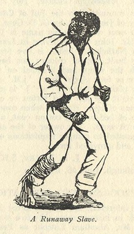 Act-VIII, Punishment of Runaway Slaves