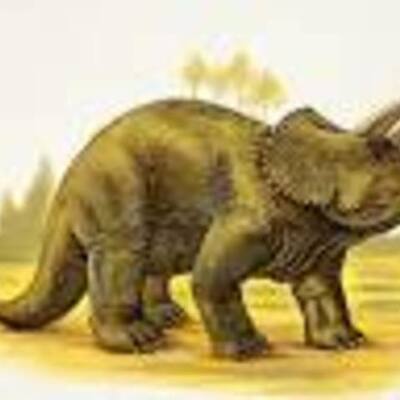 Timeline: The Age of the Dinosaurs