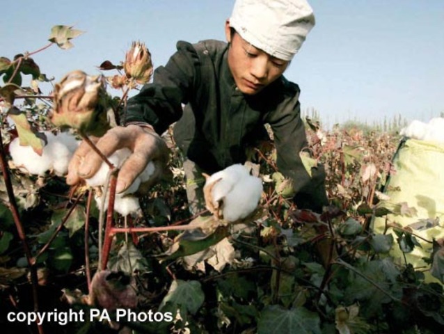 The Soviet Union comes to power