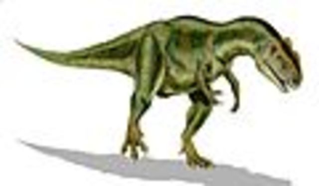 Allosaurus' Lived