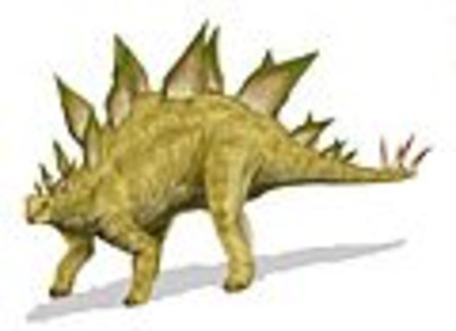 Stegosaurus' Lived