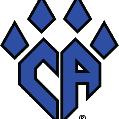 Timeline: Response to Pressure (Cali Jo)