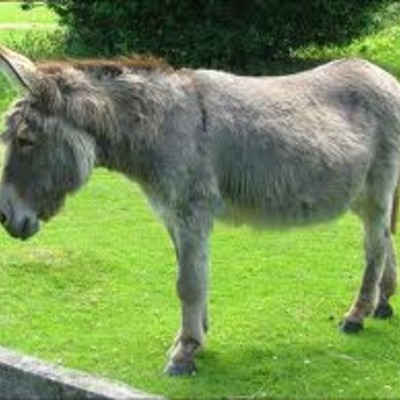 Timeline: what i learned this year :D