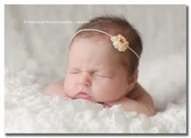 The Newborn; Physical Development