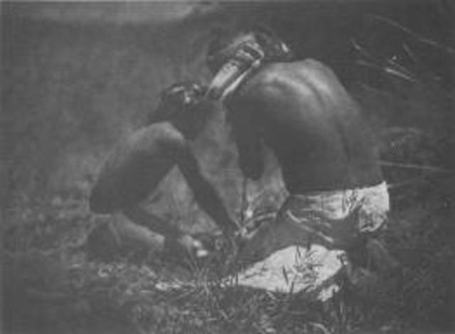 document the traditional culture