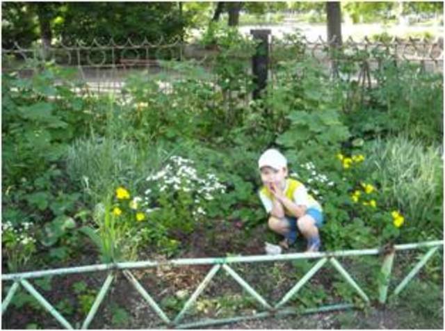 Яркие события в жизни учреждения