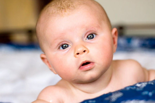 The Newborn (Social-Emotional Developmemt)