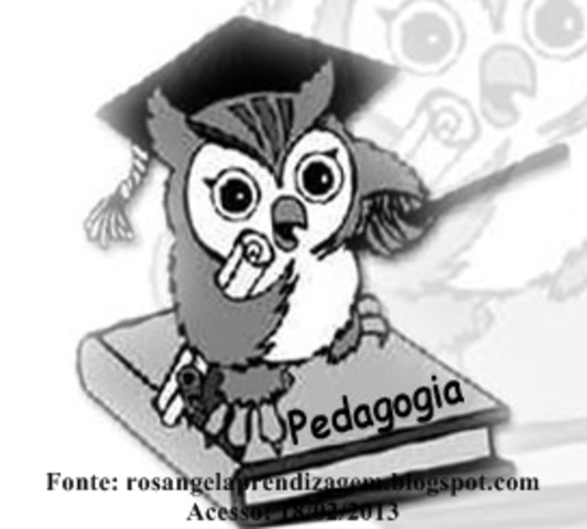 Como surgiu a Pedagogia.