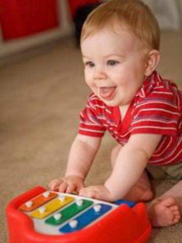 The Toddler (Physical Development)