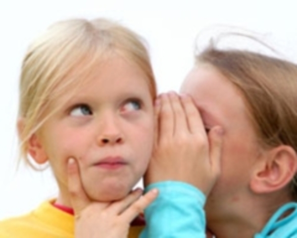 The Toddler (Social-Emotional Development)