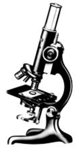 1st Microscope