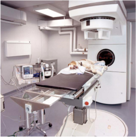 Treatment: Radiation Therapy