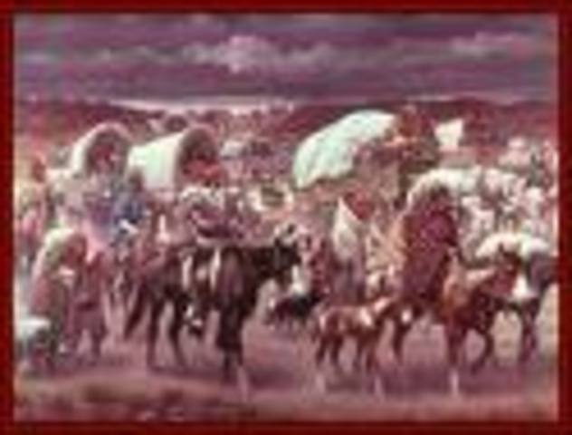 The Indian Removal Policy