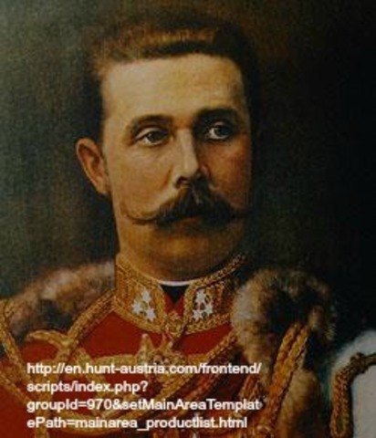 Archduke Franz Ferdinand Gets Shot