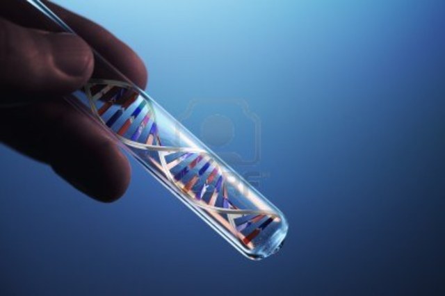 Dr. Arthur Komberg makes the first DNA in a test tube