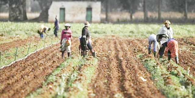 Treatment of Native Africans