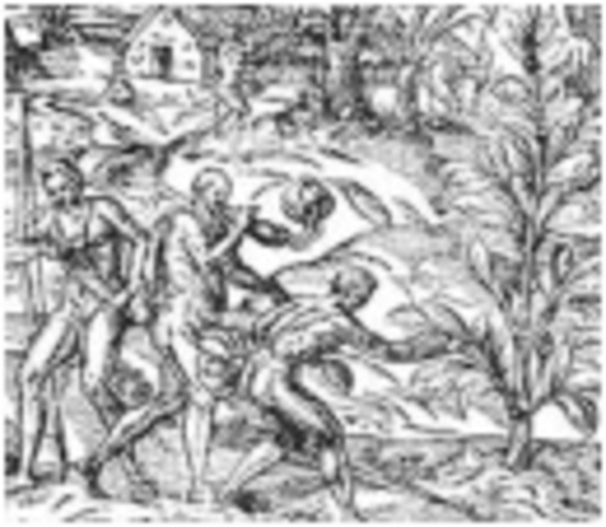 1000 BC - Cigarettes & Tobacco