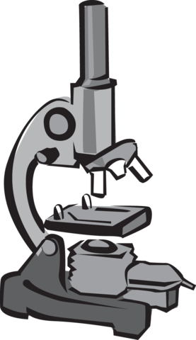 Development of Microscopes