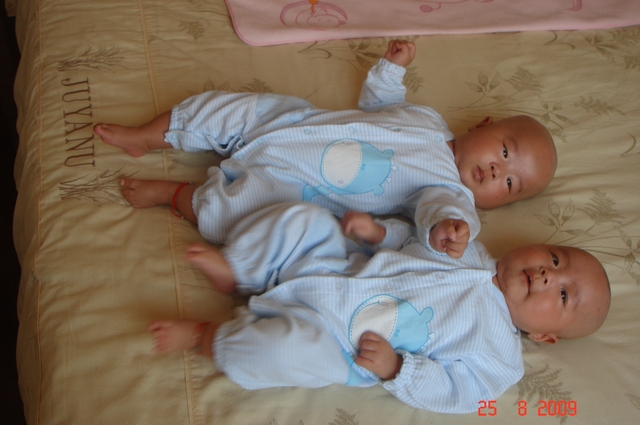Younger Brother and sister born