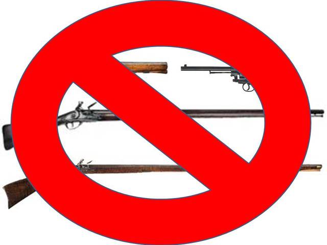 The No Gun Law