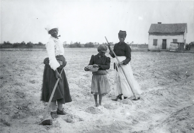 Anthony Johnson Aquires Land