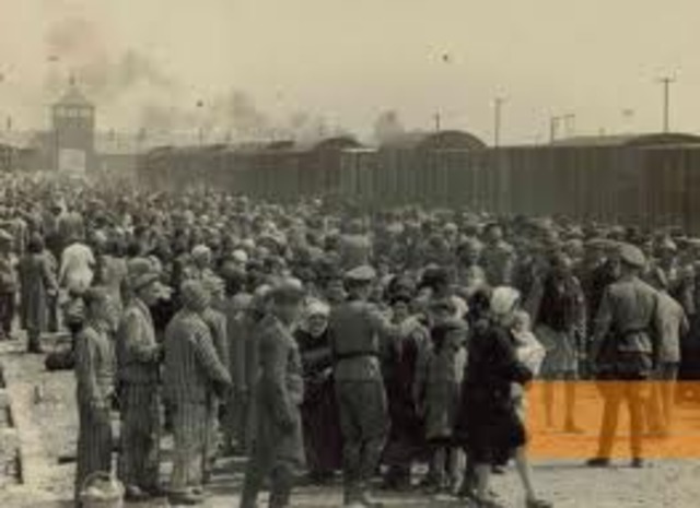 All Jews in concentration camps in Germany are sent to death camp at Auschwitz.