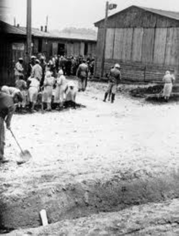 Romania passes law condemning adult Jews to forced labor.