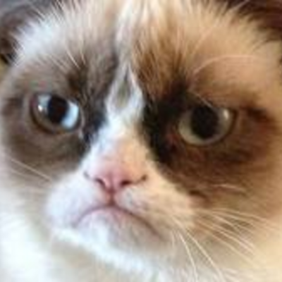 Timeline: Summer & Kaylee's 2012 Year in Review