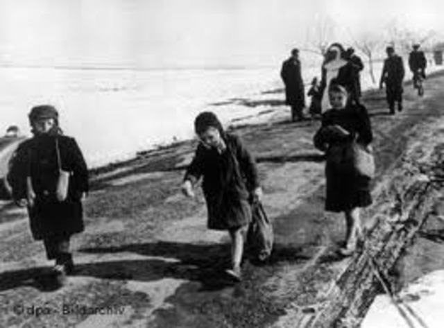 A special internment camp for non-Jewish Polish youth is opened in Lódz.
