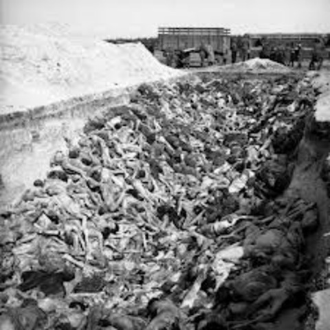 Fifteen Nazi and government leaders meet at Wannsee, a section of Berlin, to discuss the "final solution to the Jewish question".