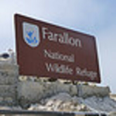 Timeline: The History of Farallon Islands