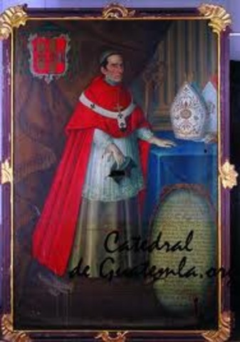 Organización de la iglesia católica