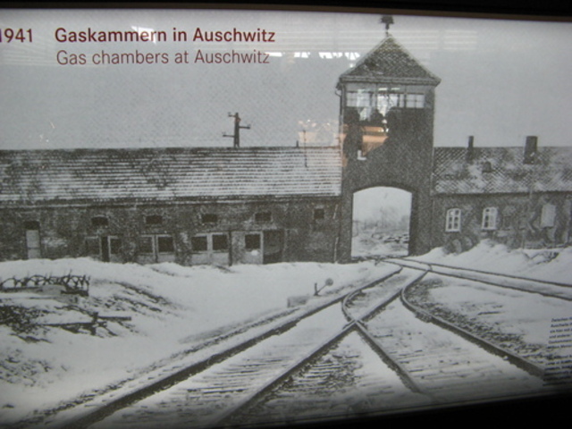 Nazi "extermination" camps located in occupied Poland at Auschwitz, Birkenau, Treblinka, Sobibor, Belzec, and Majdanek-Lublin begins mass murder of Jews in gas chambers.