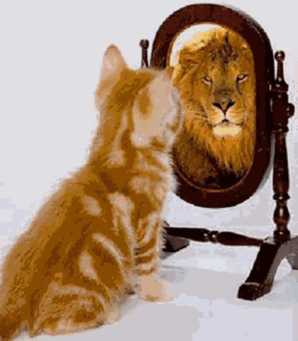 Tienen más confianza en sí mismos